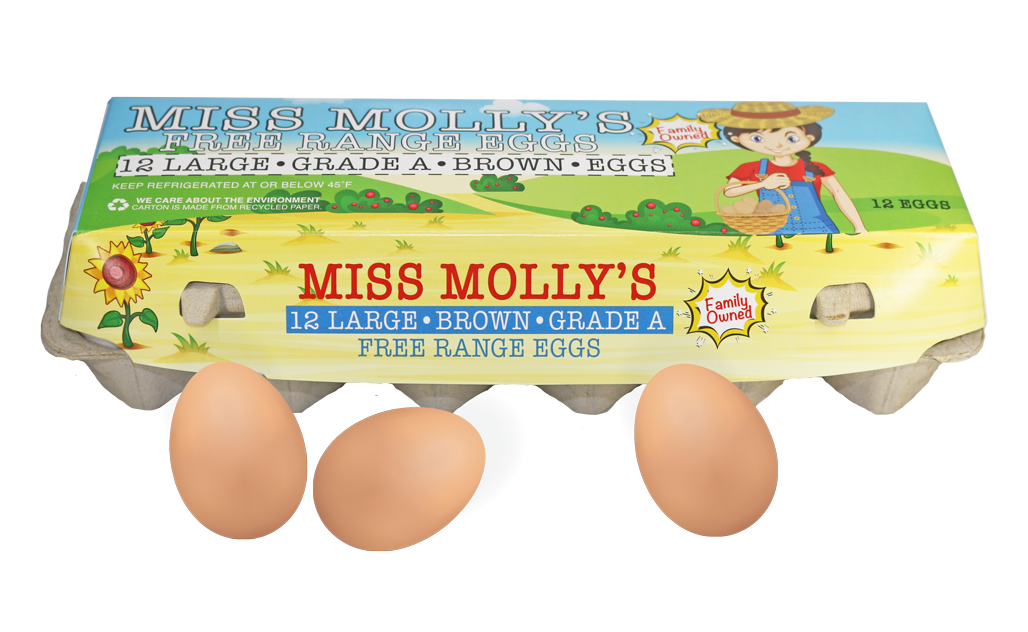 Miss-Mollys-Carton-with-Eggs