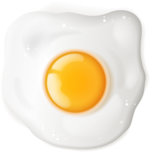 egg